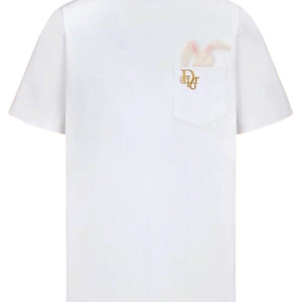 DIOR BY ERL ホワイト シャツ Dior RELAXED-FIT DIOR BY ERL T-SHIRT 313J651A0554_C081 – BORDER-GARA